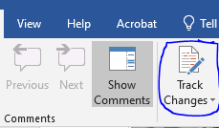 Zoom image: Where to find Track Changes in Word. 
